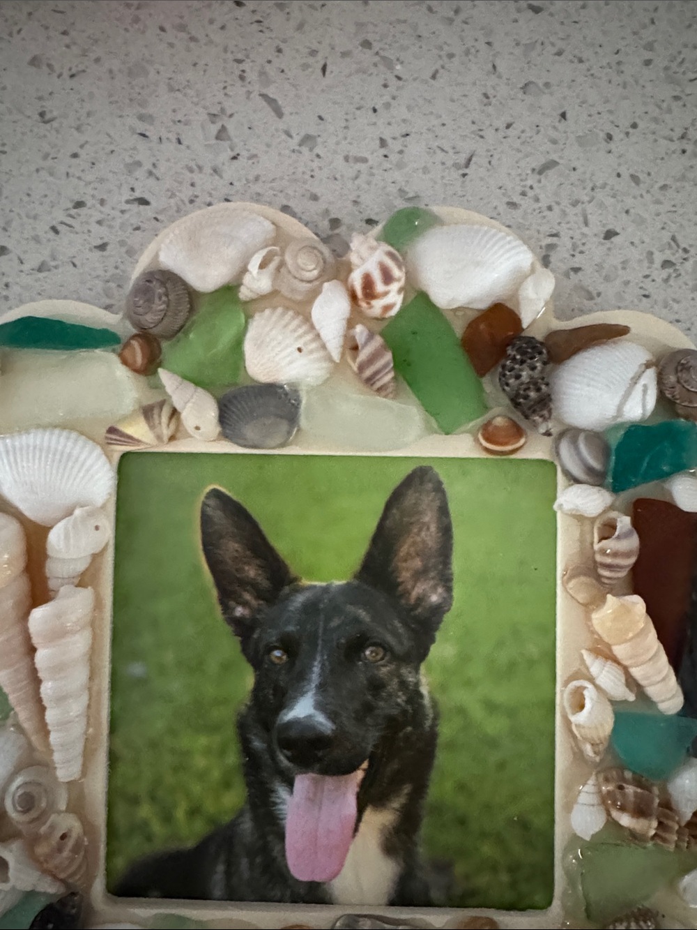 Handcrafted Shell & Sea Glass Frame - Picture 6 of 6